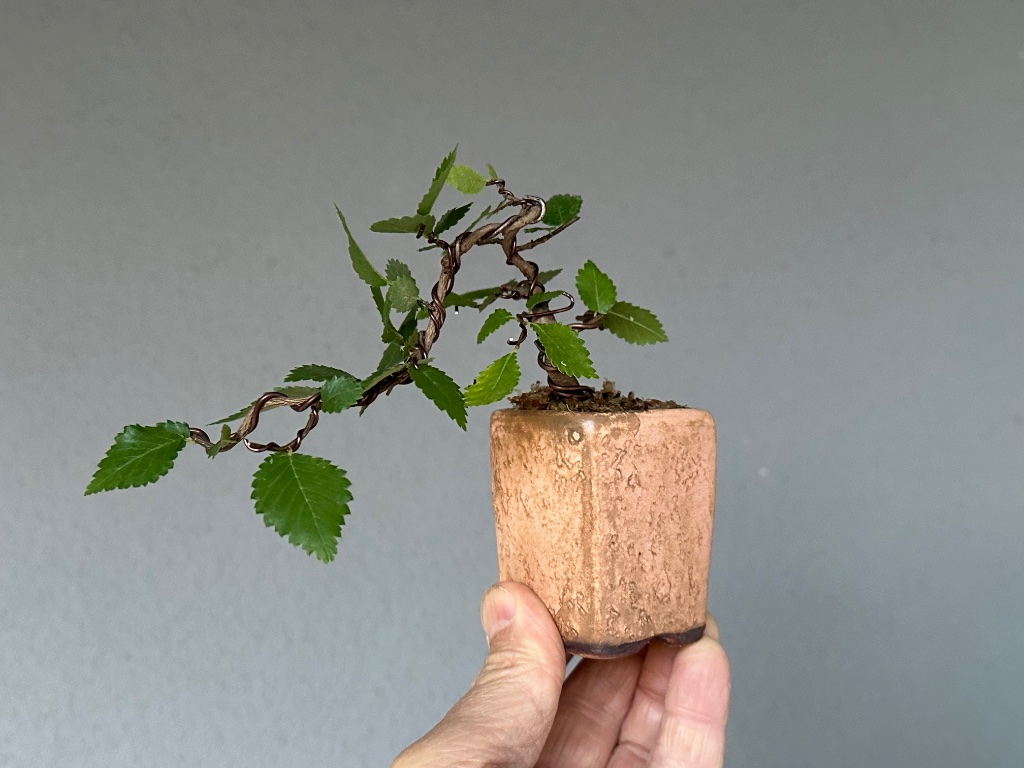 oder gedrehte Ansicht auf die Schalenkante
