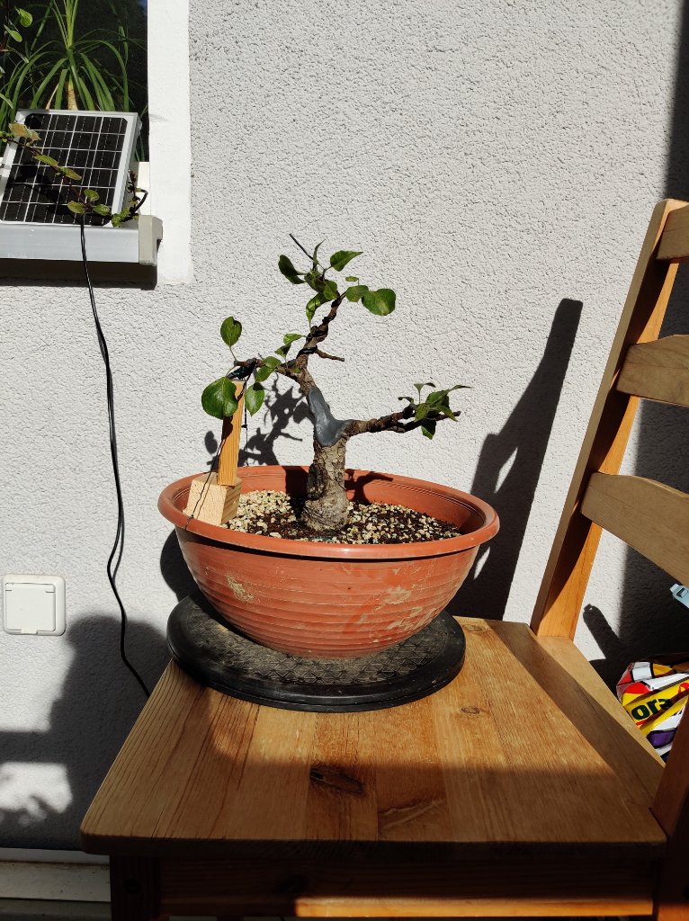 nach dem Schnitt