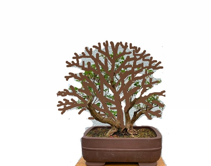 Virtual_Azalea j. 2025.jpg