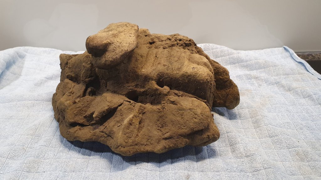 Ein interessanter Stein, wie ich ihn im schlammigen Bach gefunden habe.