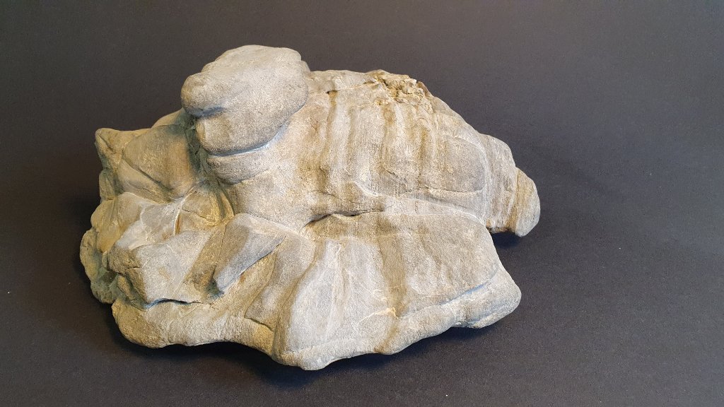 Grob gereinigt, Breite 23 cm.