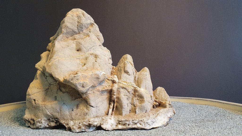 Ein hübsches kleines Gebirge, Breite 19 cm. Es steckte etwa 1 km vom Vogel entfernt in einem Bachbett. Das Gestein ist auch Kalk, aber aus einer anderen Schicht.