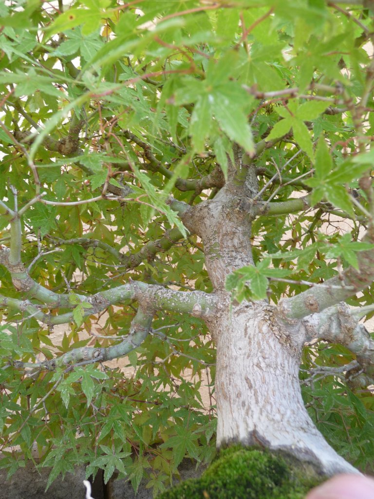 P1080400.JPG