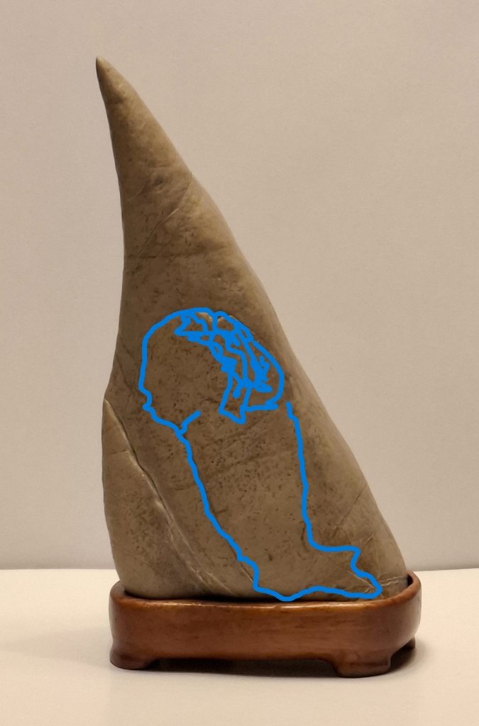 20250923_205242.jpg