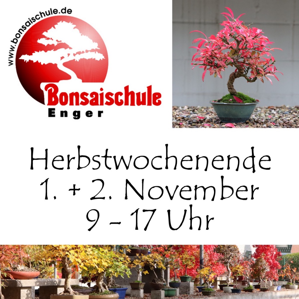 Herbstwochenende25.jpg