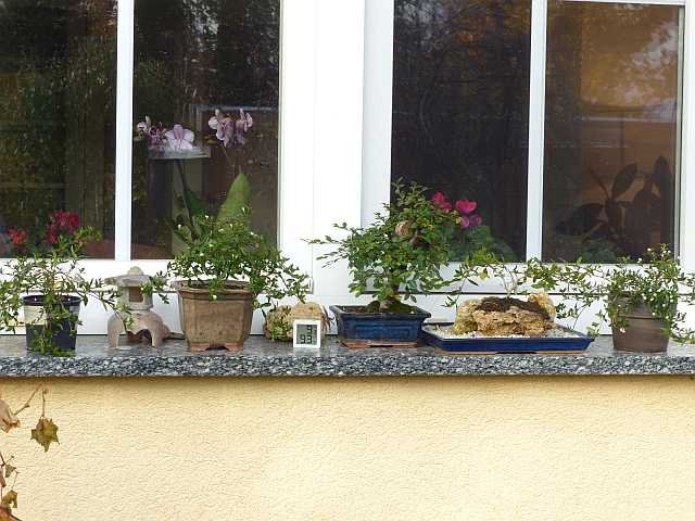 P1120121_k.jpg