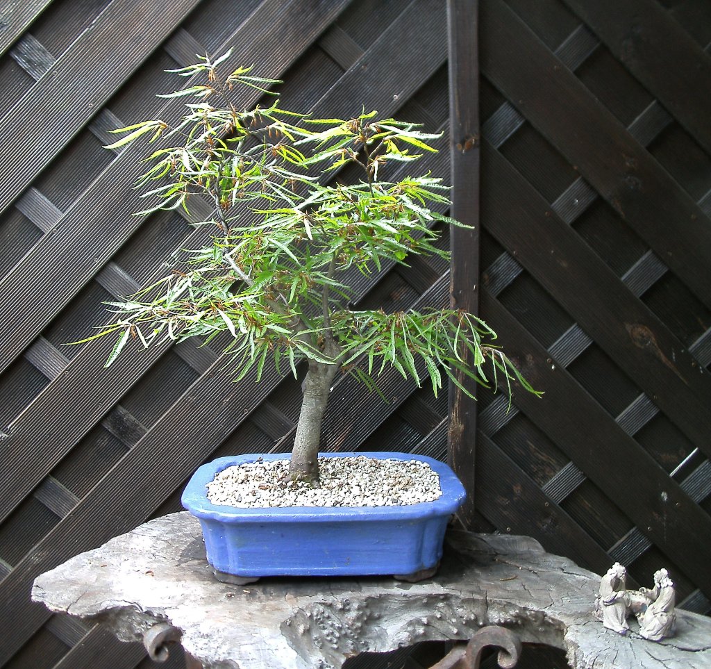 Mai 2017