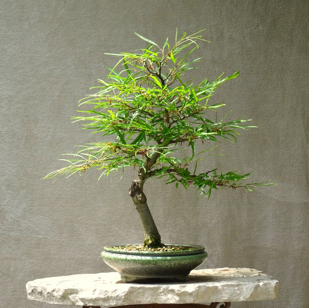 Mai 2024