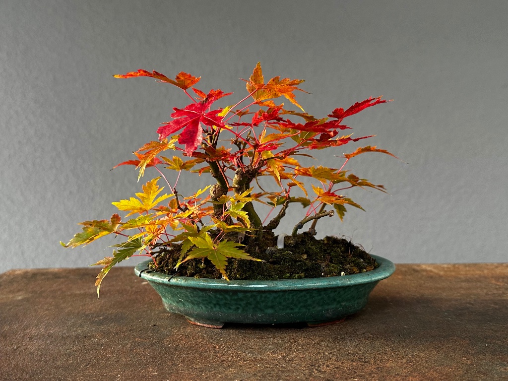 schöner Herbst