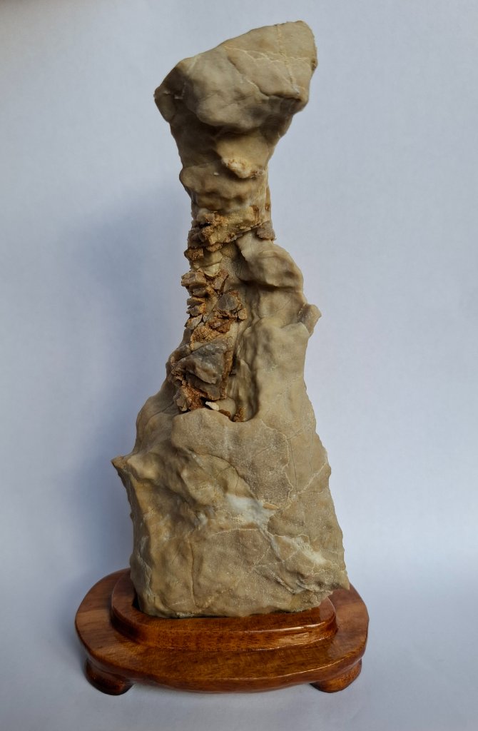 20251118_132216.jpg