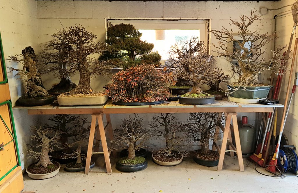 20251121_133958.jpg