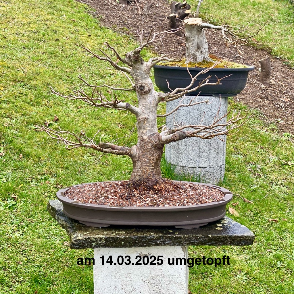 IMG_0514.jpeg