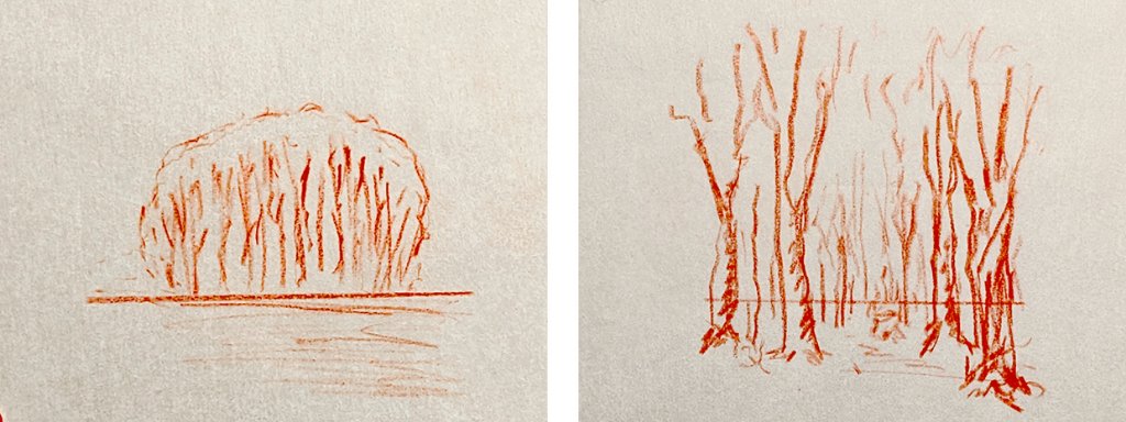 Waldwirkung_fern_nah.jpg