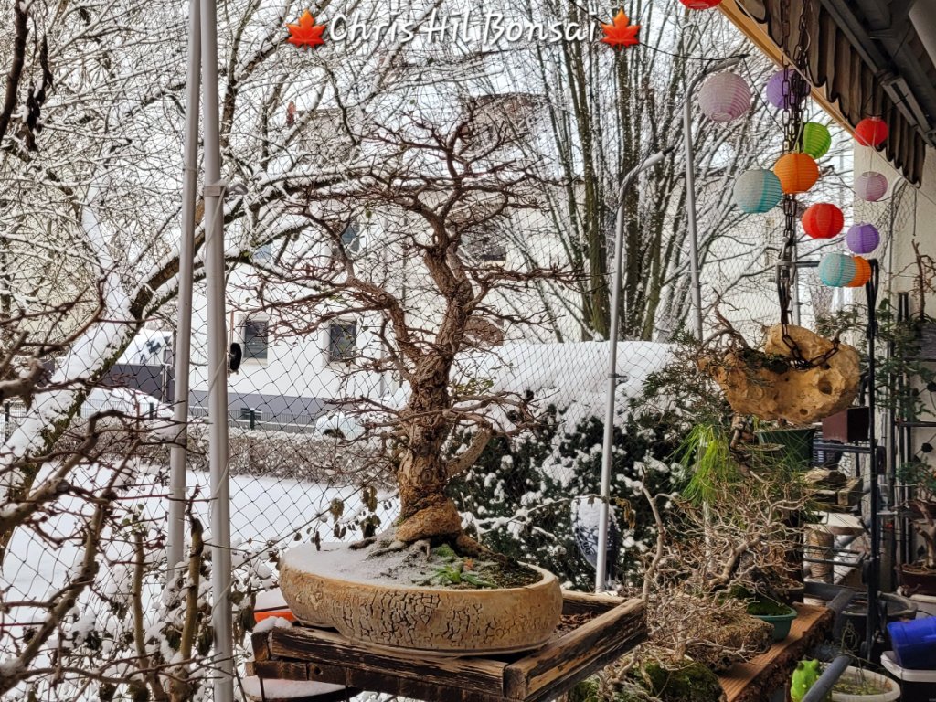 20260106_113519.jpg