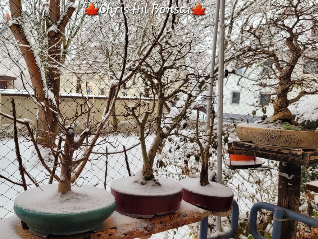 20260106_113516.jpg