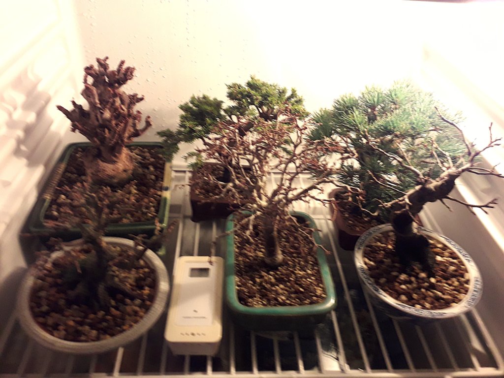 20260108_172725.jpg