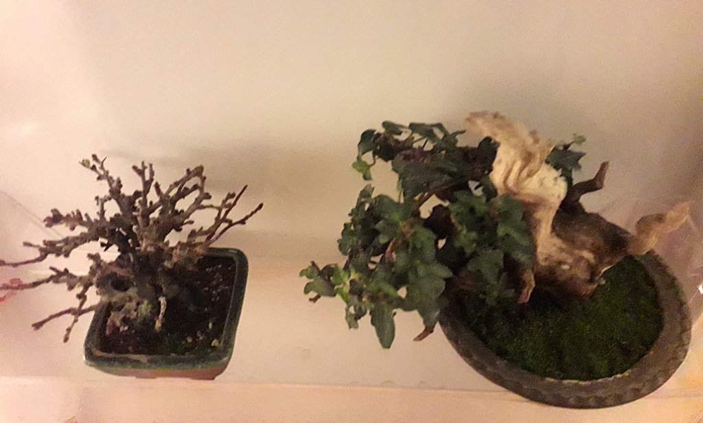 20260108_172701.jpg