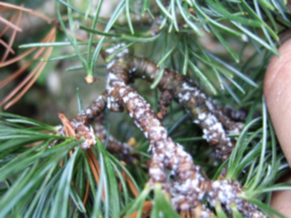 2007_05060134.JPG