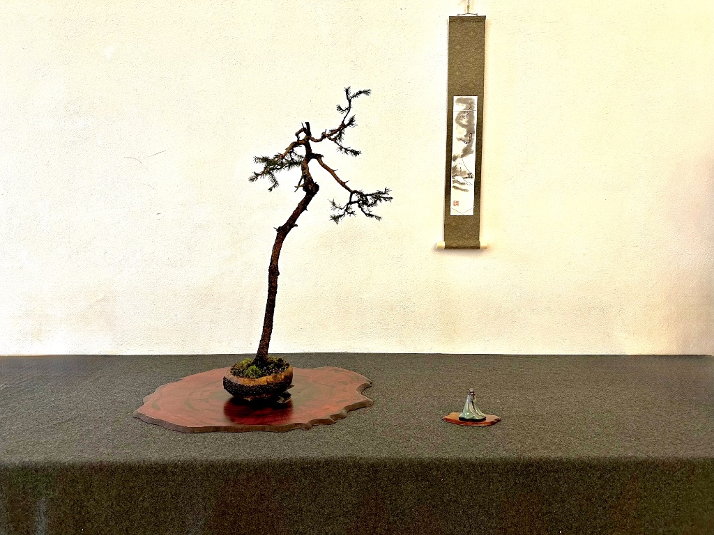 ein Teilnehmer versuchte eine Literatenpräsentation. Der Baum steht noch ganz am Anfang, bitte nicht werten. Es ging nur um die Zusammenstellung und Kombination