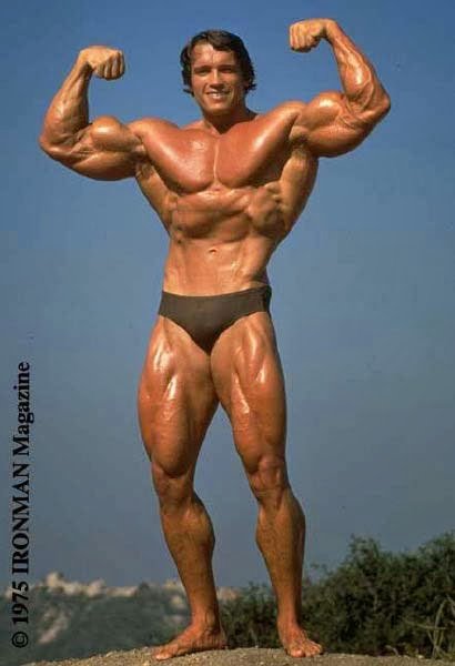 arnold_friends_insights_b.jpg