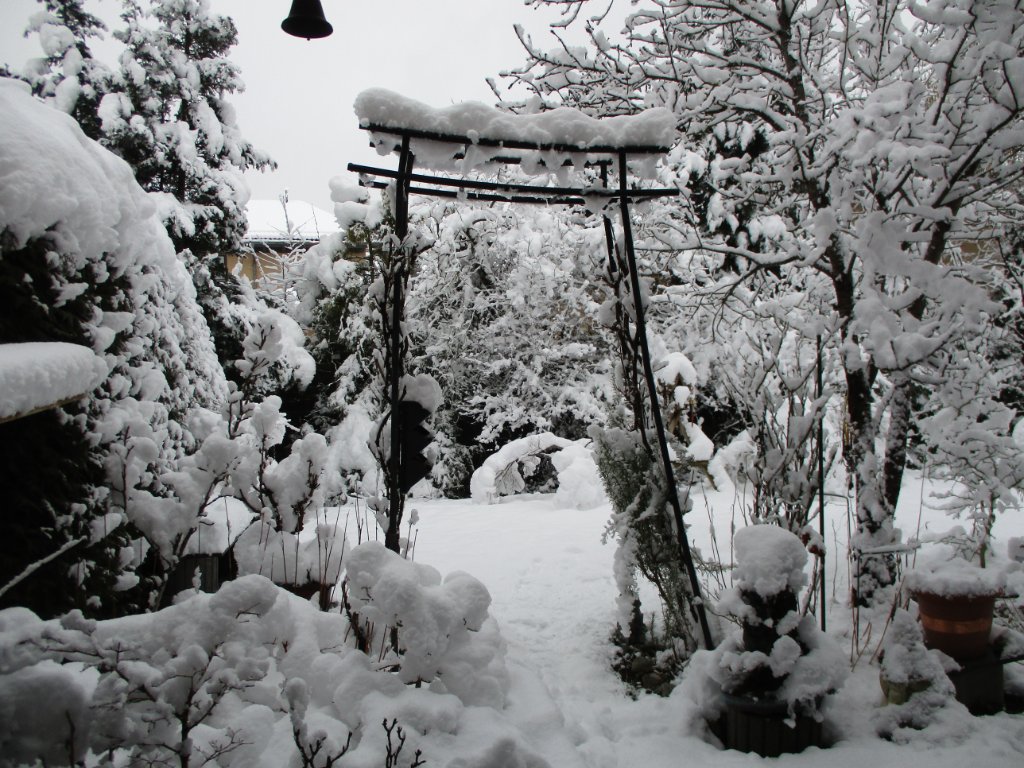 IMG_0265.JPG