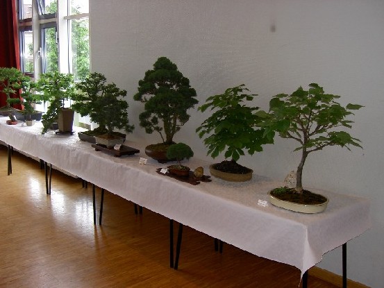PICT0225.JPG