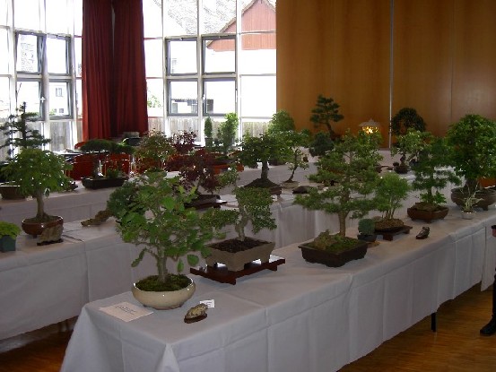 PICT0221.JPG