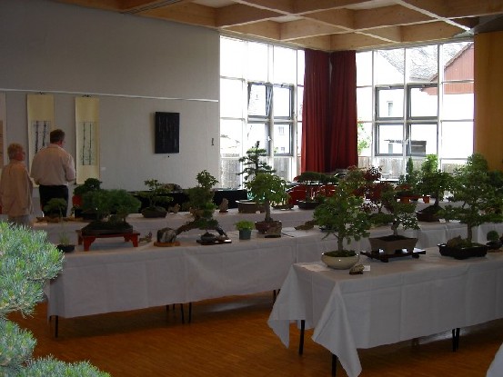 PICT0220.JPG