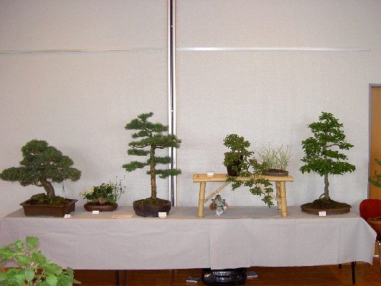 PICT0218.JPG