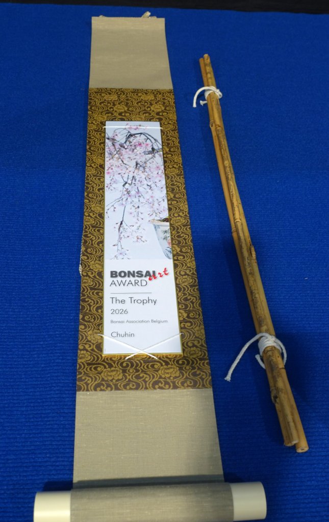die Auszeichnung: Bonsai Art Award