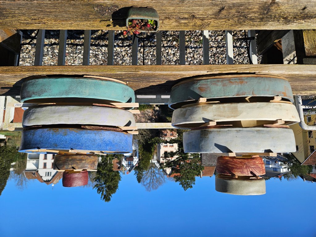 20260302_124007.jpg