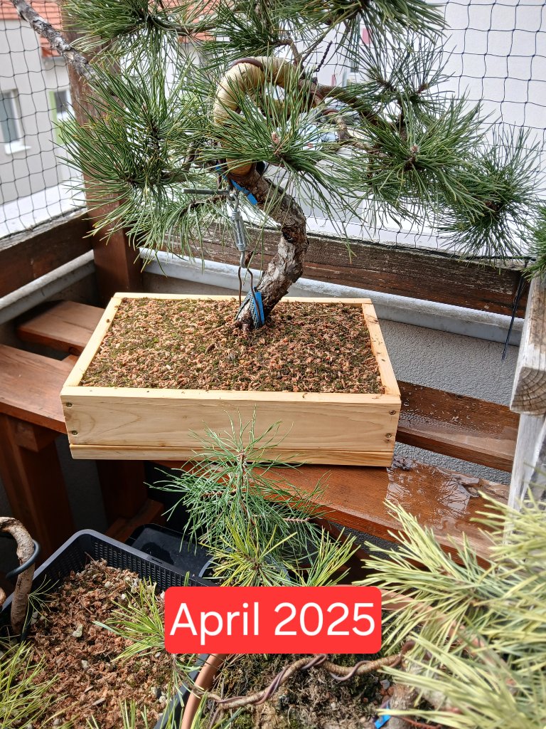 20250406_145547.jpg