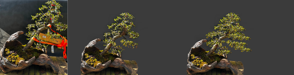 Virtual Larix d. 2026.png