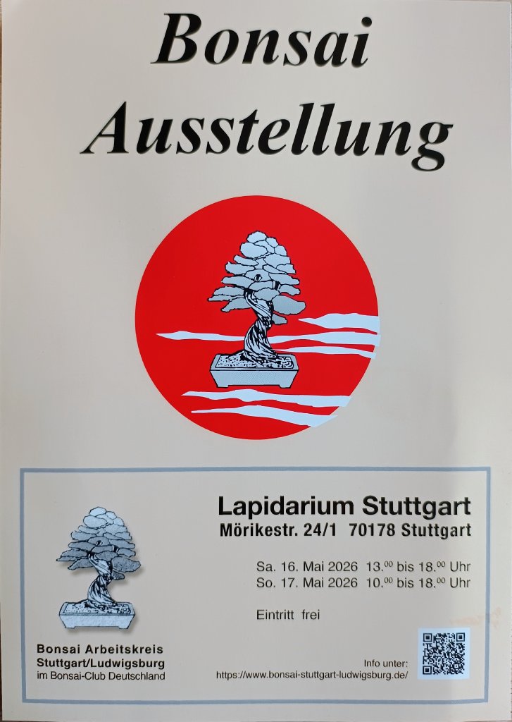 1000042404.jpg