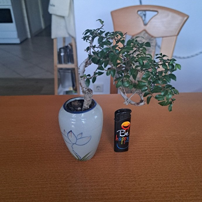 20260524_210709.jpg