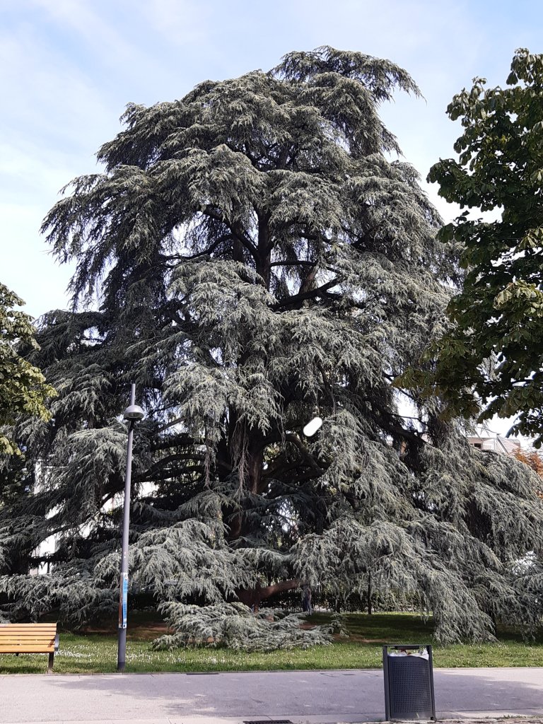 20230917_135319.jpg