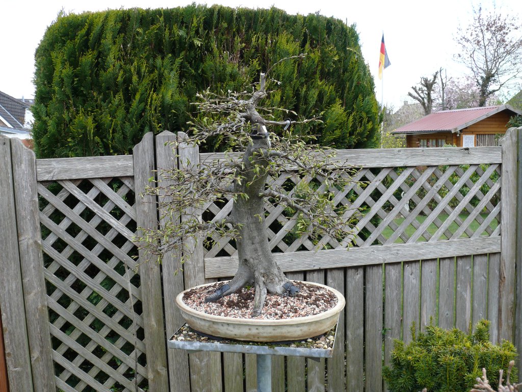 2015-04-19.JPG