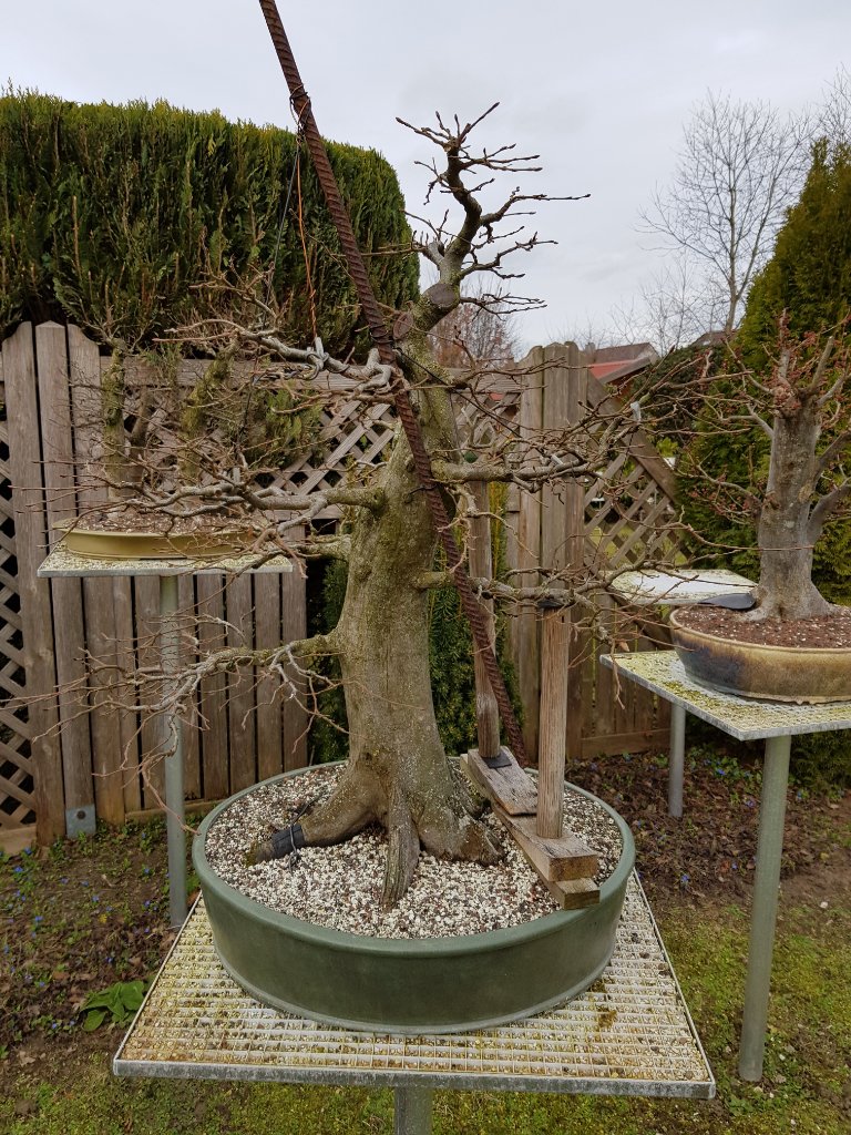 20190302_152751.jpg