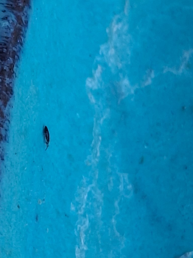 20260618_183621.jpg