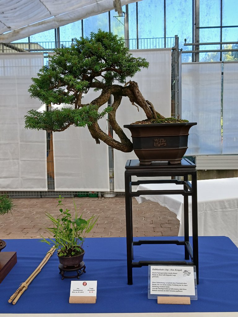 20260619_092359.jpg
