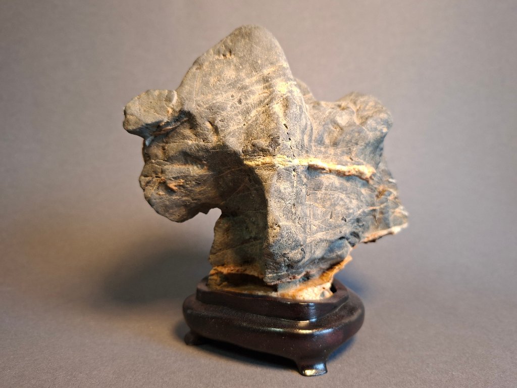 Was dieser Stein darstellen soll, habe ich noch nicht herausgefunden. Er sieht irgendwie aus wie ein Fabeltier.<br />Breite 16, Höhe 16, Tiefe 7 cm