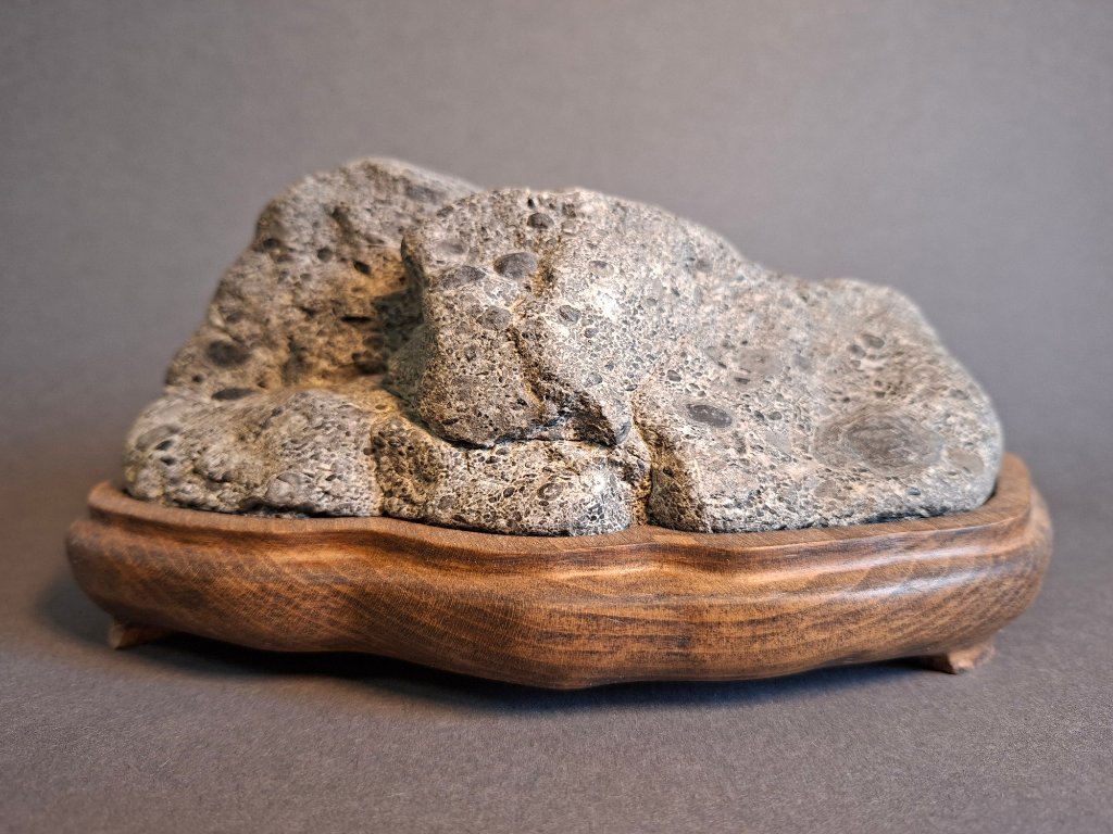 Muschelkalkberg aus einem Tal in der Nachbarschaft. Die Höhen und Vertiefungen kommen leider auf dem Foto nicht so gut zur Geltung. Der Stein besteht aus vielen kleinen Muscheln in einer hellen Matrix.<br />Breite 20, Höhe 10, Tiefe 13 cm