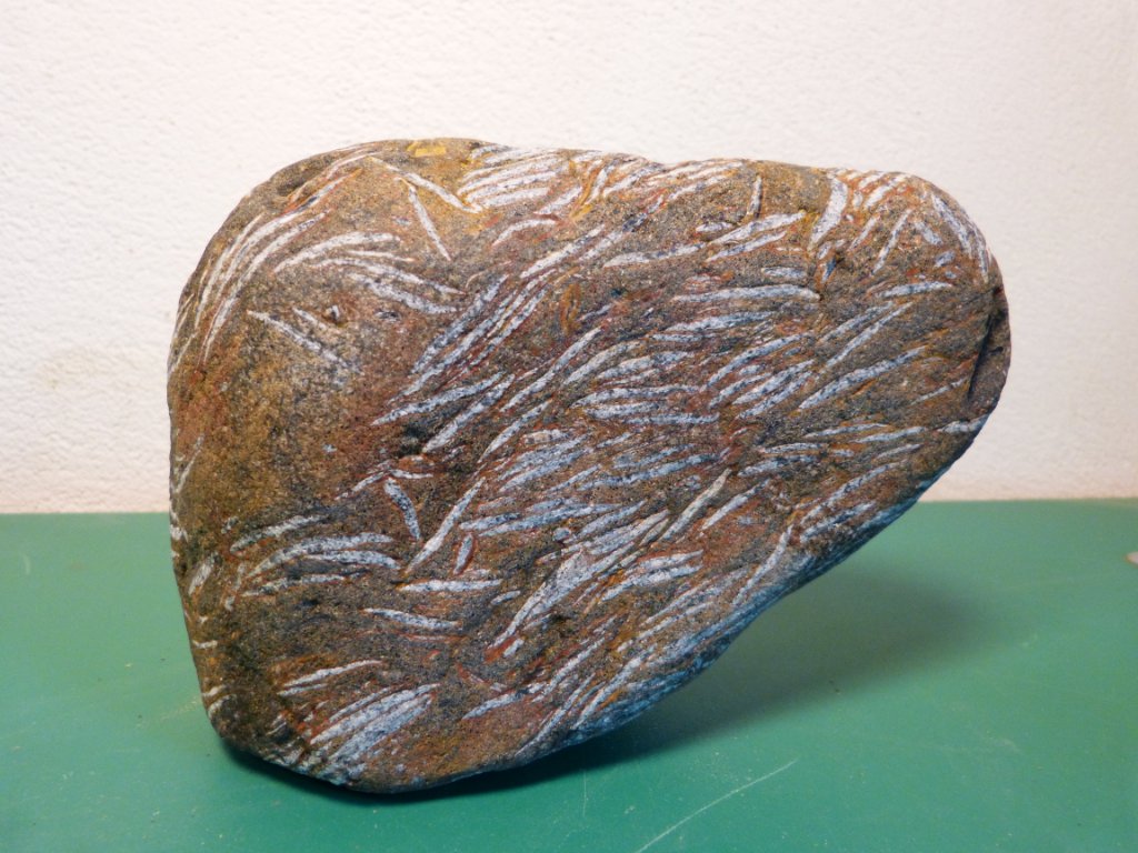 Suiseki pattern stone fishes.JPG