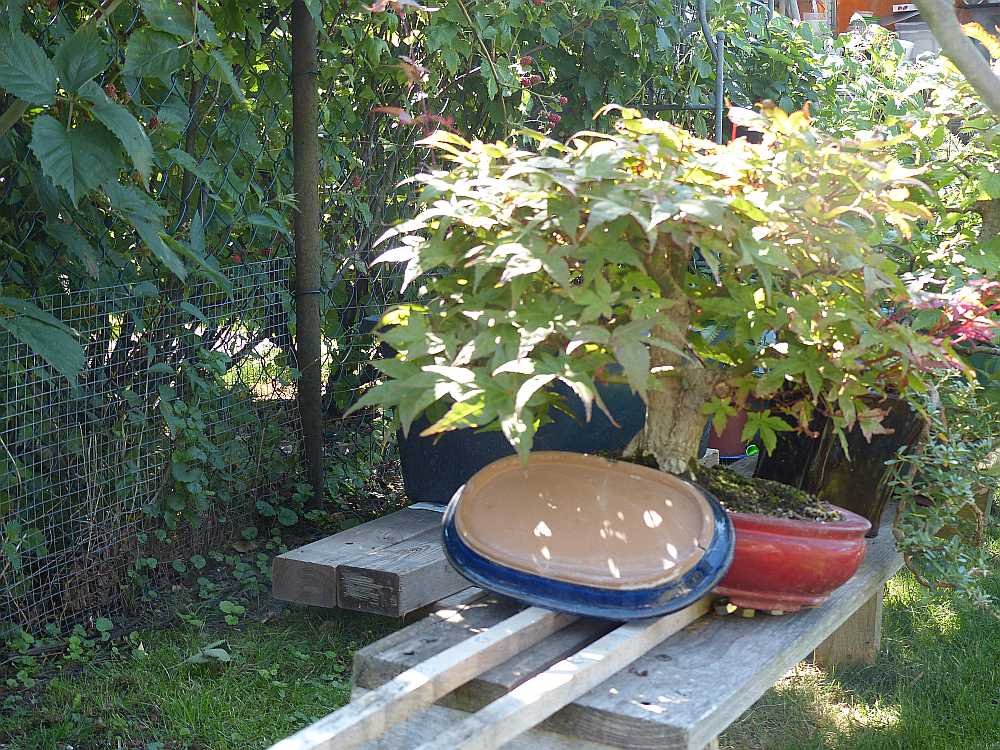 P1120442_3.jpg