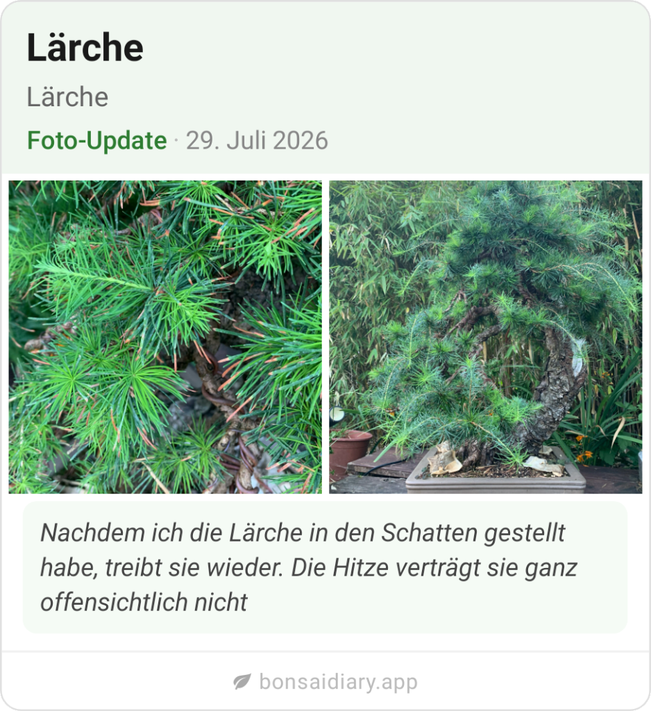 ReactNative-snapshot-image4555923181488473396.png