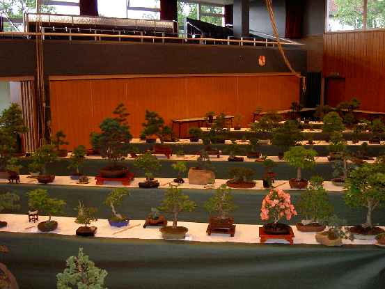PICT2937.JPG