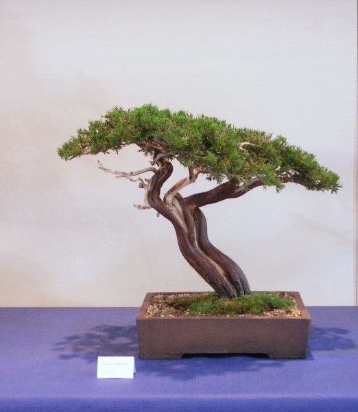 new_PICT2021.jpg