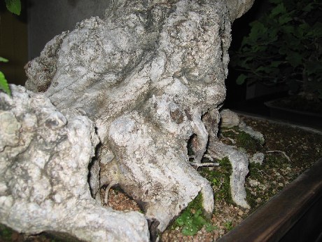 IMG_2511.jpg