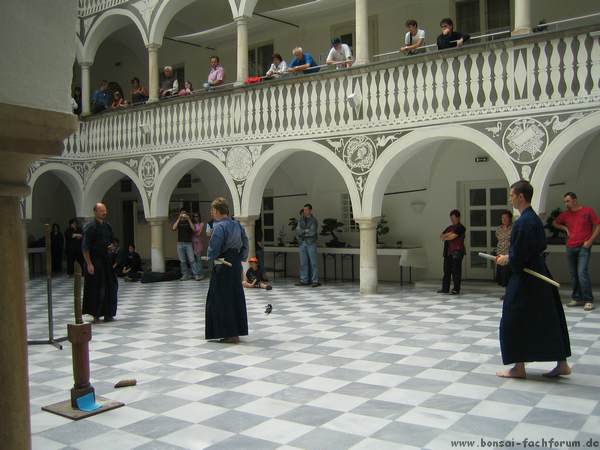 IMG_2873.JPG