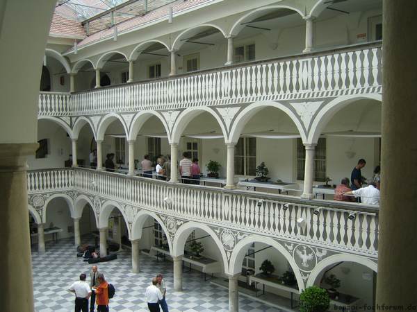 IMG_2889.JPG